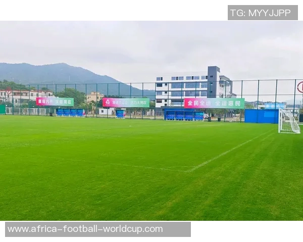 探索adicolor足球的魅力与创新设计带来的运动新体验 探索adicolor足球的魅力与创新设计带来的运动新体验